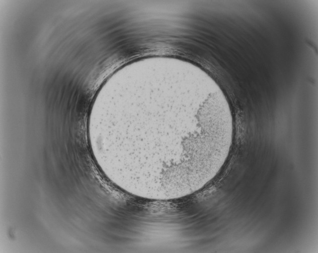 X0000103960842200810311612