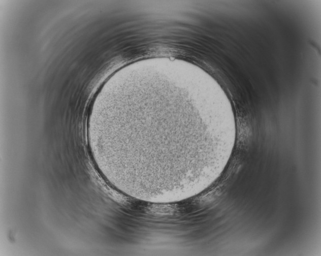 X0000103960843200810311612