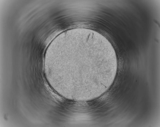 X0000103960844200810311612