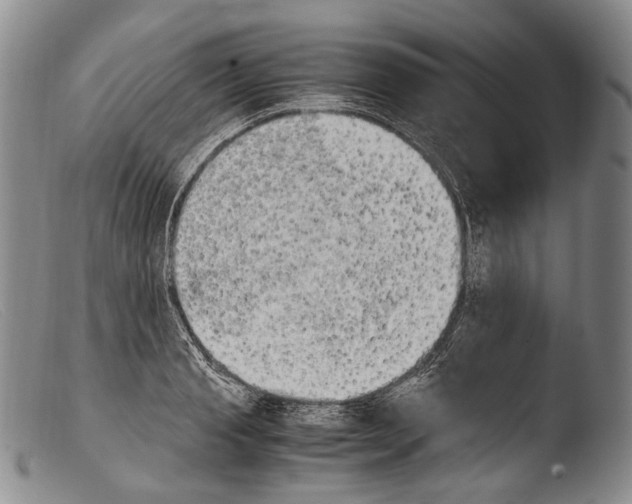 X0000103960845200810311612