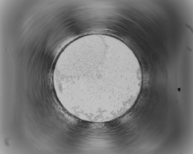 X0000103960846200810311612