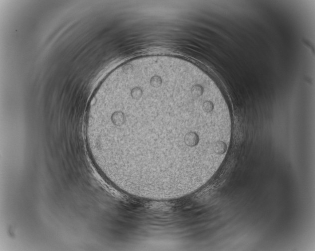 X0000103960847200810311612