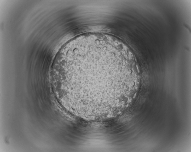 X0000103960848200810311612