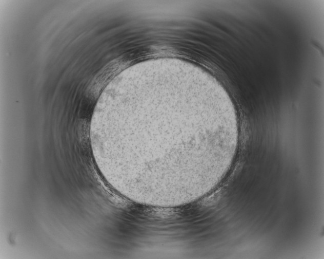 X0000103960849200810311612