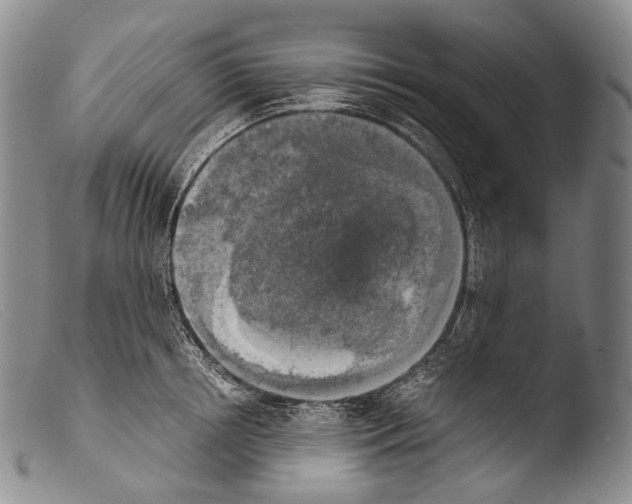 X0000103960850200810311612