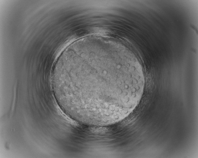 X0000103960851200810311612