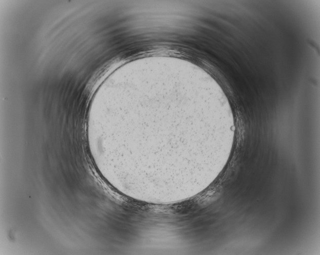 X0000103960852200810311612