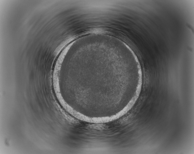 X0000103960853200810311612