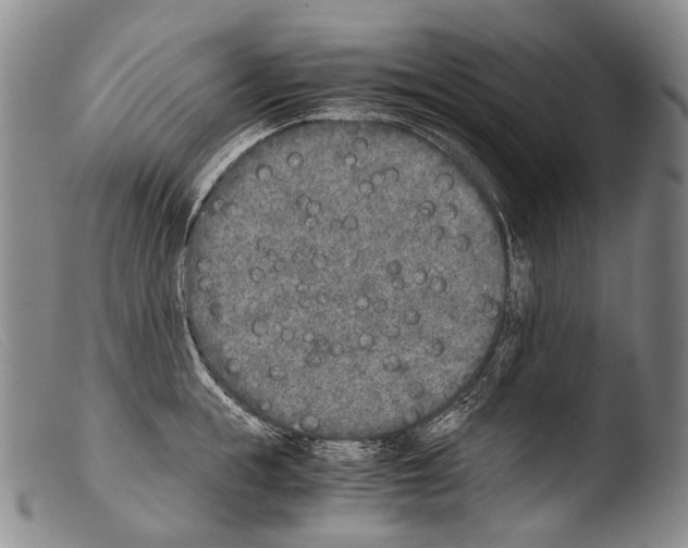 X0000103960855200810311612