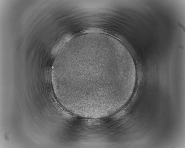 X0000103960857200810311612