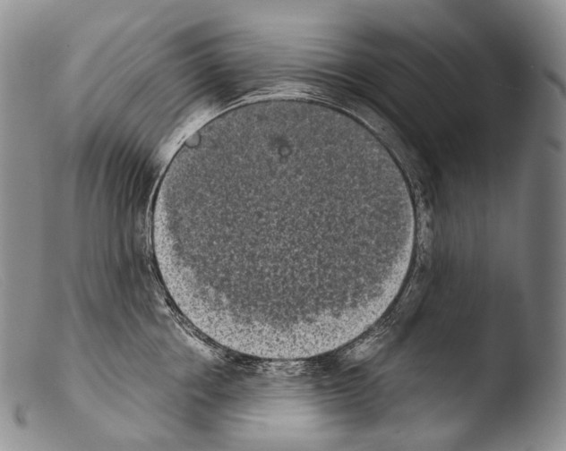 X0000103960858200810311612