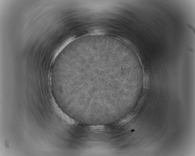 X0000103960859200810311612