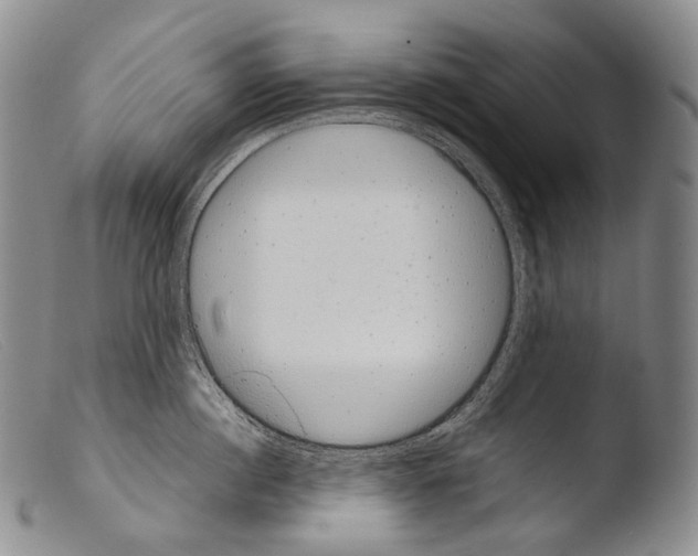 X0000103960860200810311612