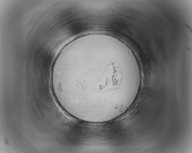 X0000103960861200810311612