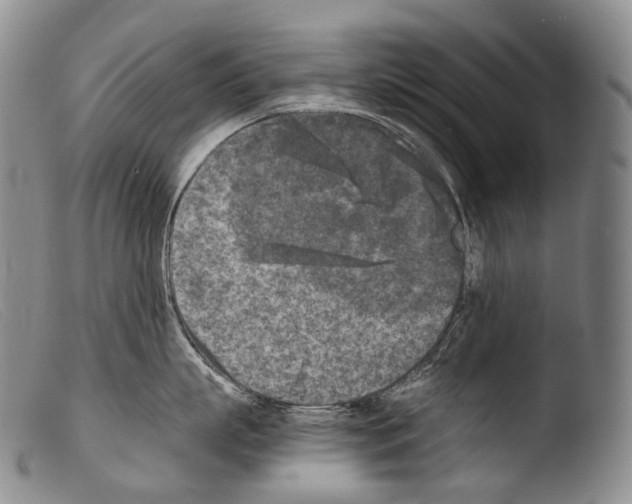X0000103960863200810311612