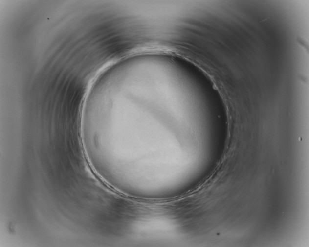 X0000103960864200810311612