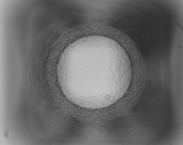 X0000103960865200810311612
