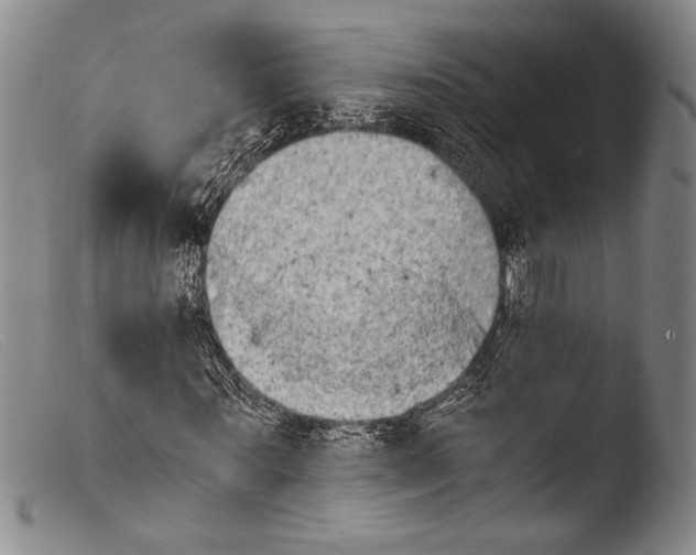 X0000103960867200810311612