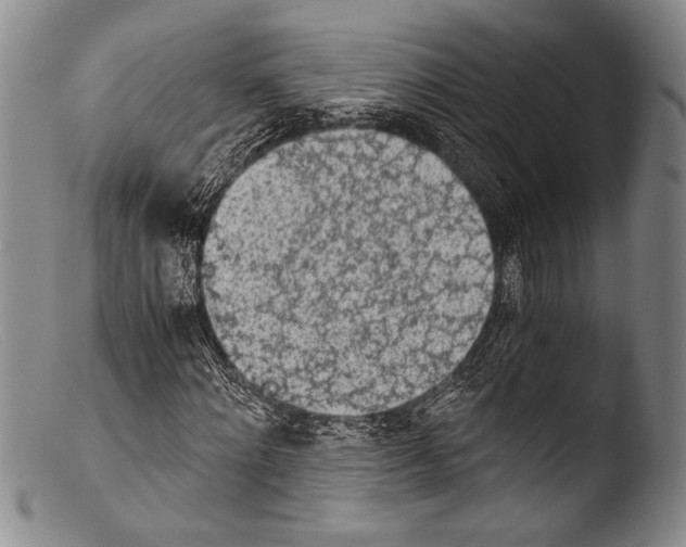 X0000103960868200810311612