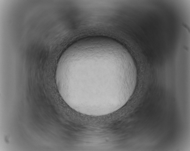 X0000103960869200810311612