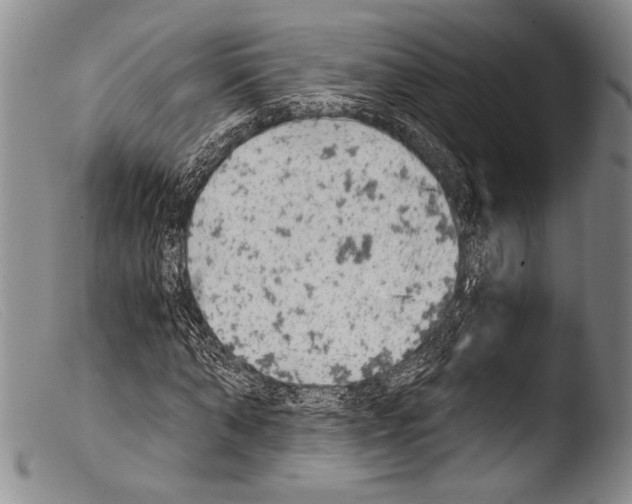 X0000103960870200810311612