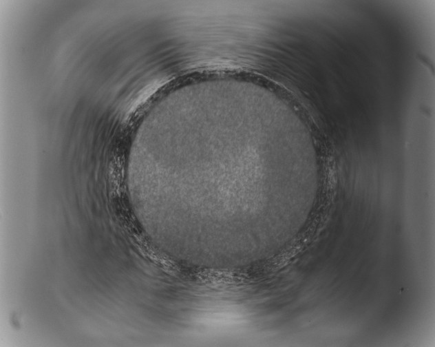 X0000103960871200810311612