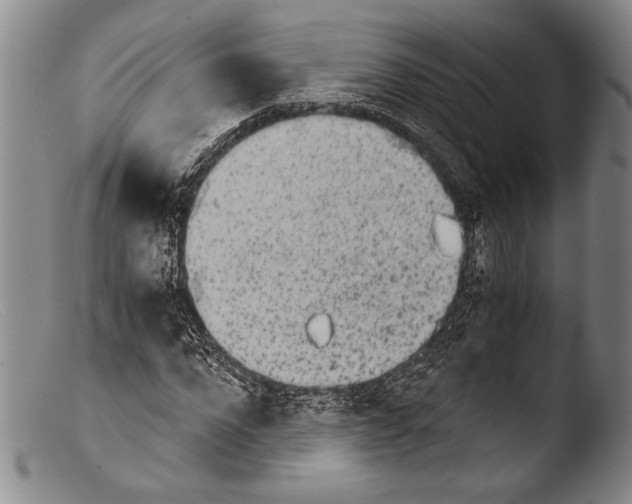 X0000103960872200810311612