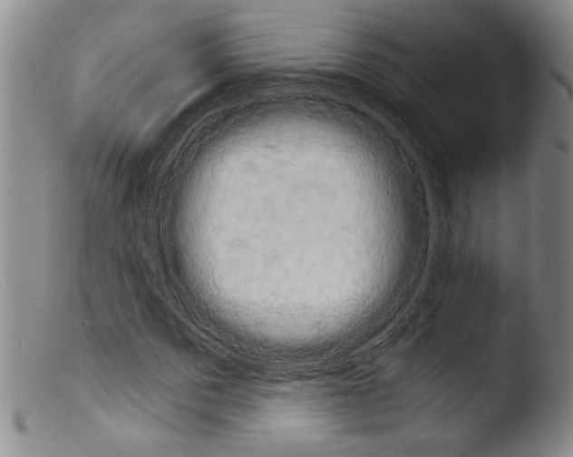 X0000103960873200810311612