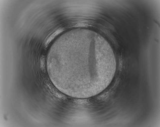 X0000103960874200810311612