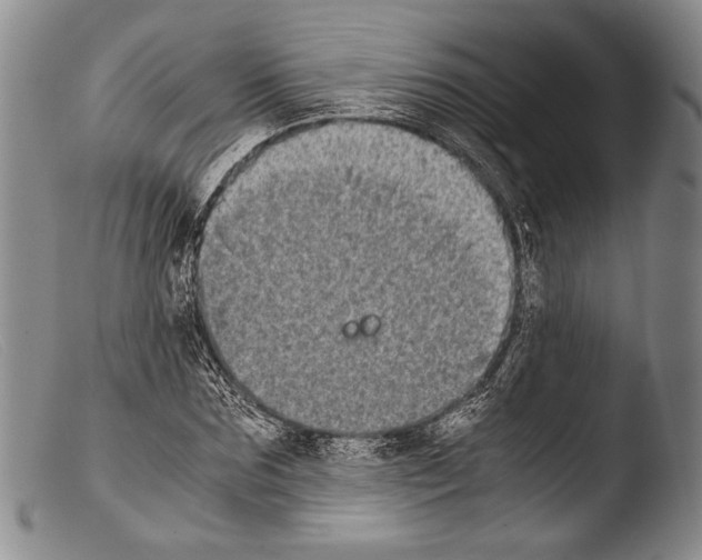X0000103960875200810311612