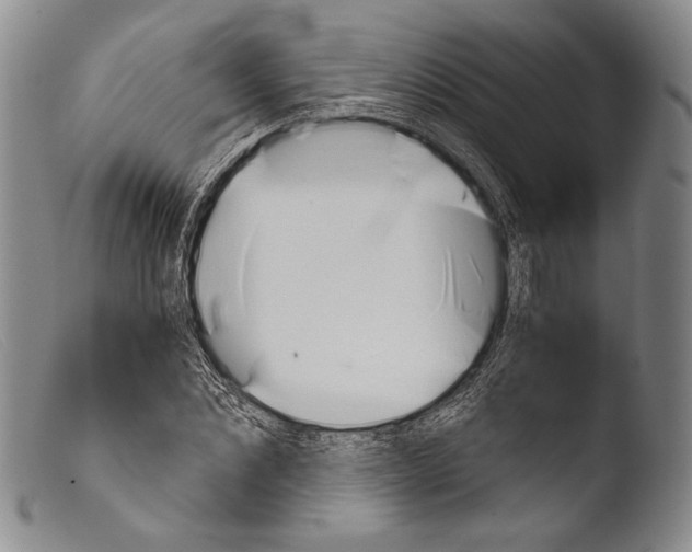 X0000103960876200810311612