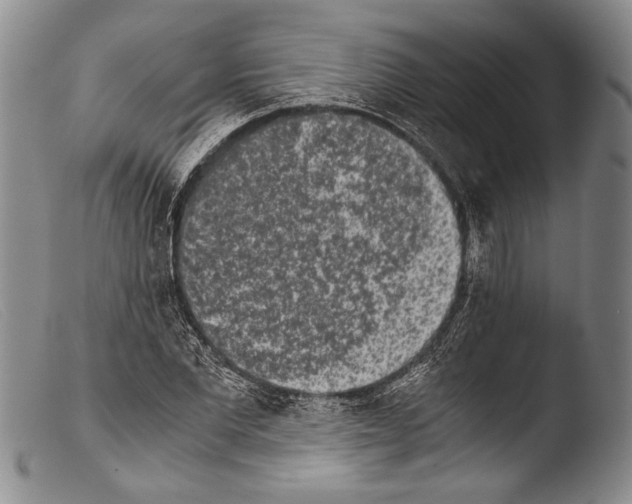 X0000103960877200810311612