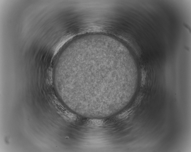 X0000103960878200810311612