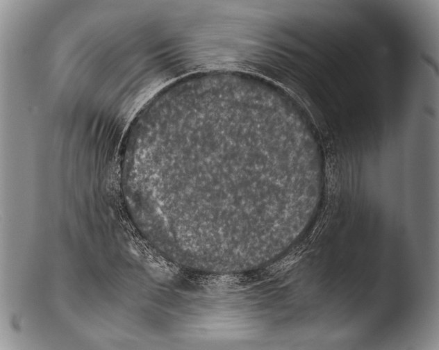 X0000103960879200810311612