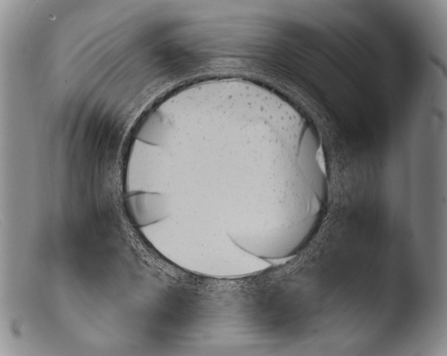 X0000103960880200810311612