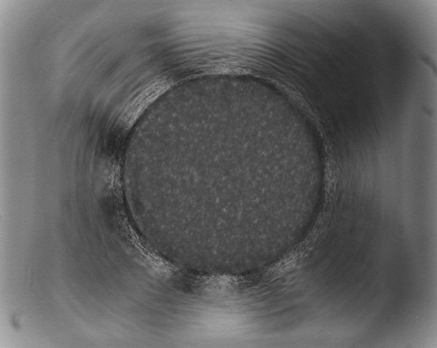 X0000103960881200810311612
