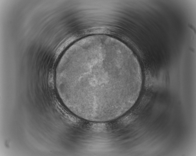 X0000103960882200810311612