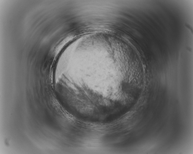 X0000103960883200810311612