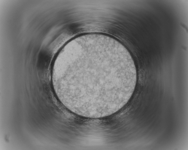X0000103960885200810311612