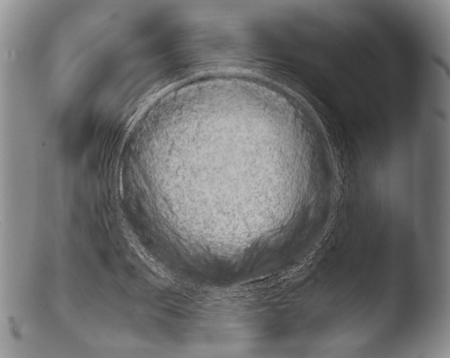 X0000103960887200810311611