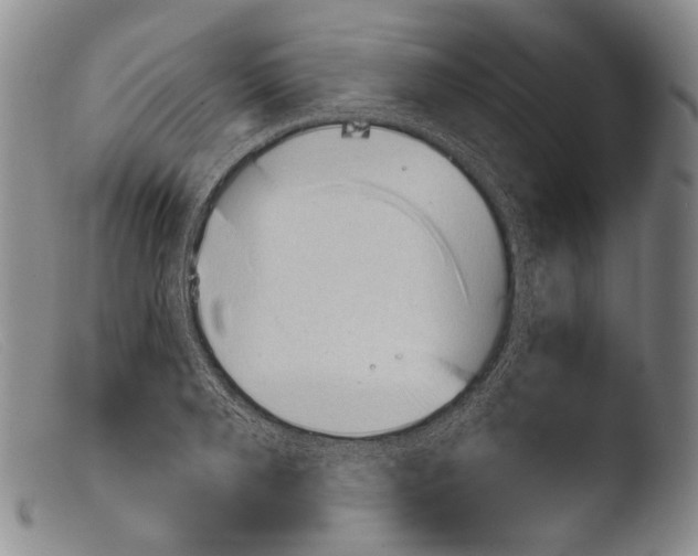 X0000103960888200810311611