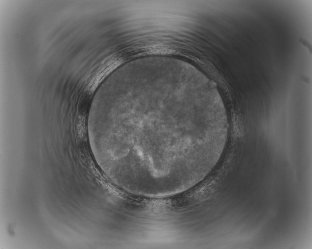 X0000103960889200810311611