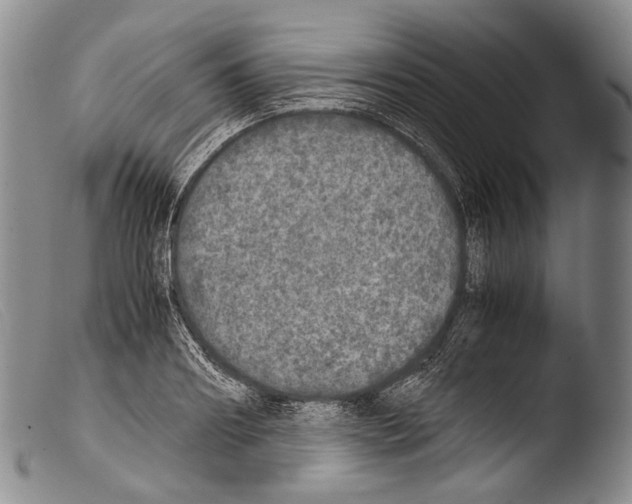 X0000103960890200810311611