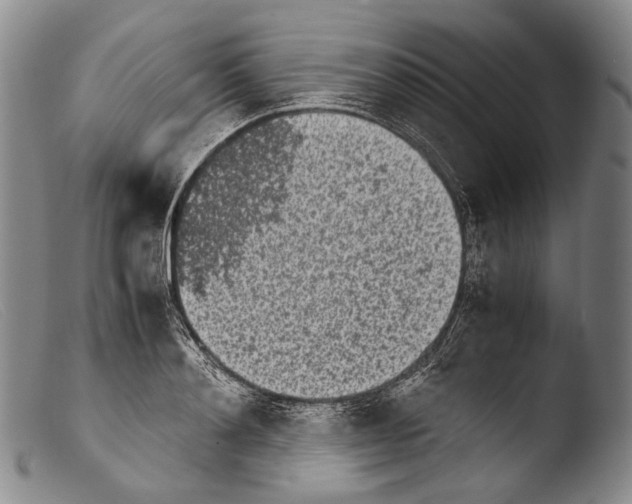 X0000103960892200810311611