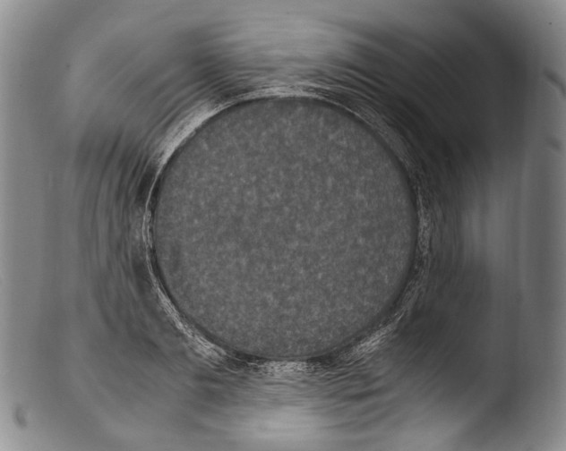 X0000103960893200810311611