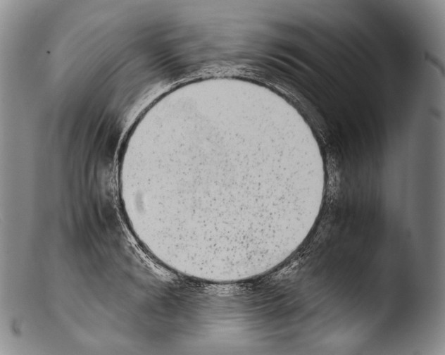 X0000103960894200810311611