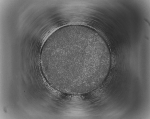 X0000103960895200810311611