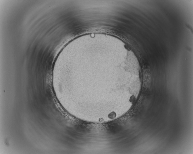 X0000103960896200810311611