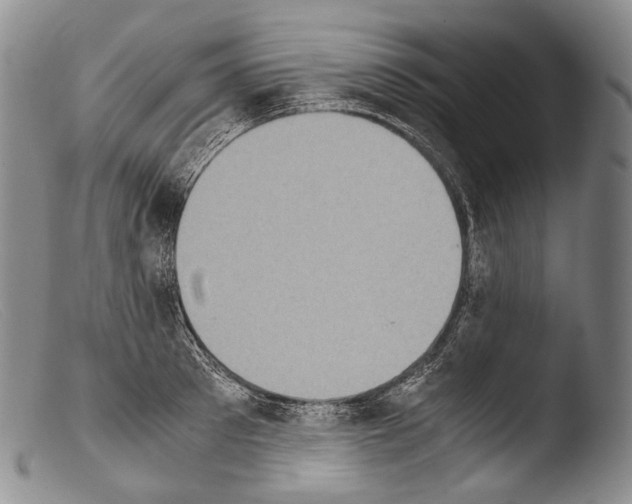 X0000103960897200810311611