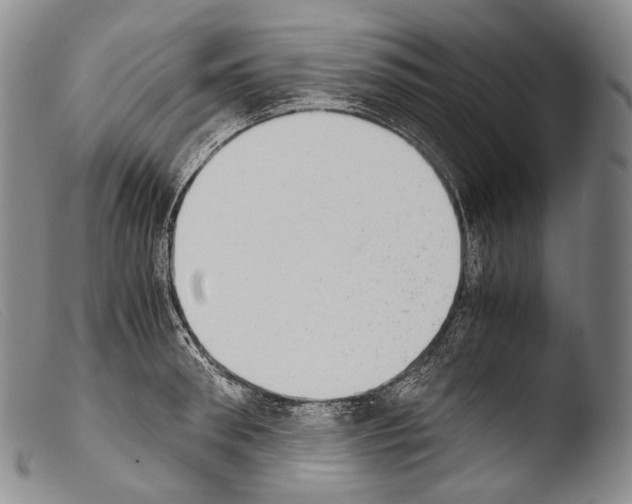 X0000103960898200810311611